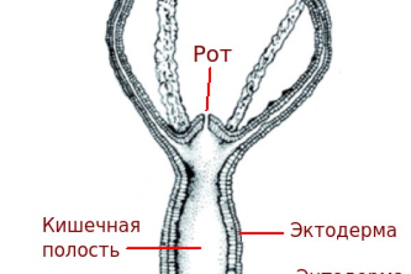 Где купить наркоты