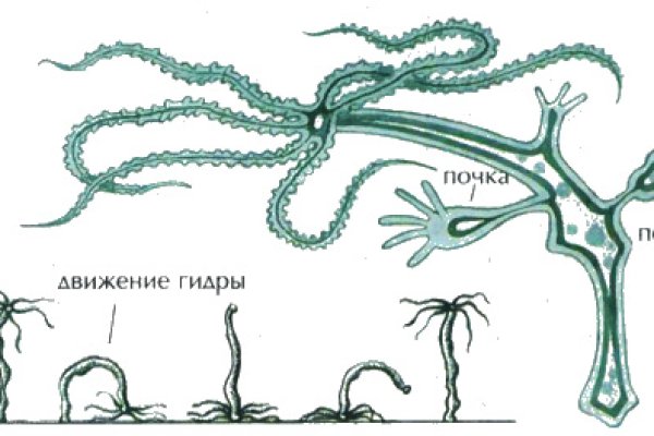 Линк кракена